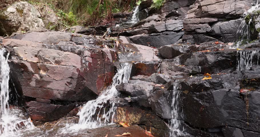 Scenic views of Cameron falls in Tamborine National Park in Queensland, Australia