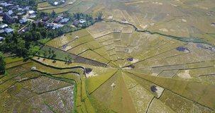Aerial view of the Spider Rice Fields during harvest season near Ruteng, East Nusa Tenggara, Indonesia. 