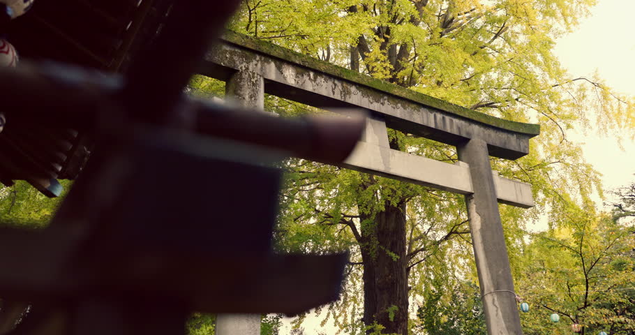 Shinto shrine, temple or torii for faith at building for praise, worship or religion in forest by trees. Woods, symbol and below for culture, peace and mindfulness for spiritual connection in Japan Royalty-Free Stock Footage #3409233769