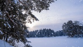 beautiful snowfall and winter landscape, the movement of the sun through a tree in winter, a frozen waterfall, 4k, time lapse, cinemagraph, video loop