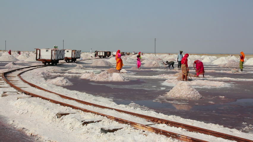 SAMBHAR, INDIA - NOVEMBER 19, 2012: Salt mining on lake in Sambhar, India, 19