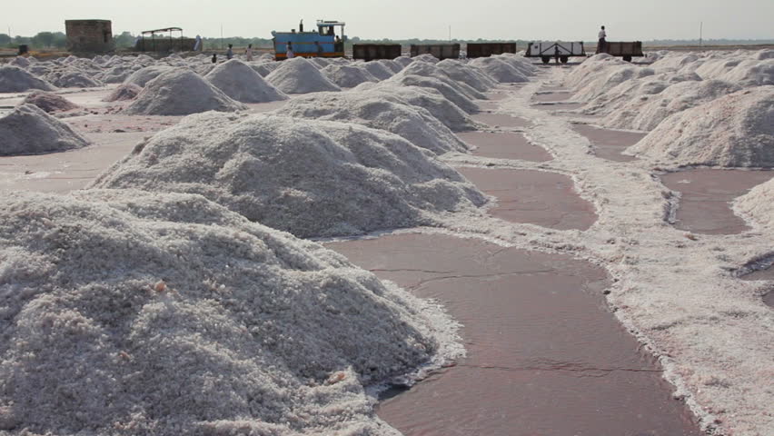salt mining on Sambhar lake in India
