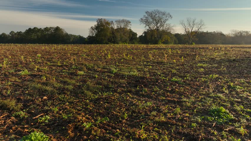 Drone reveal view of Alabama farmlands