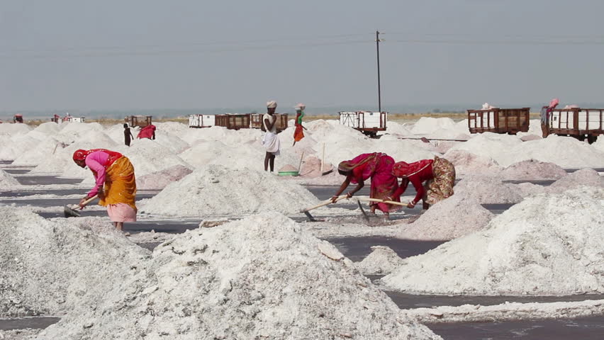 SAMBHAR, INDIA - NOVEMBER 19, 2012: Salt mining on lake in Sambhar, India, 19