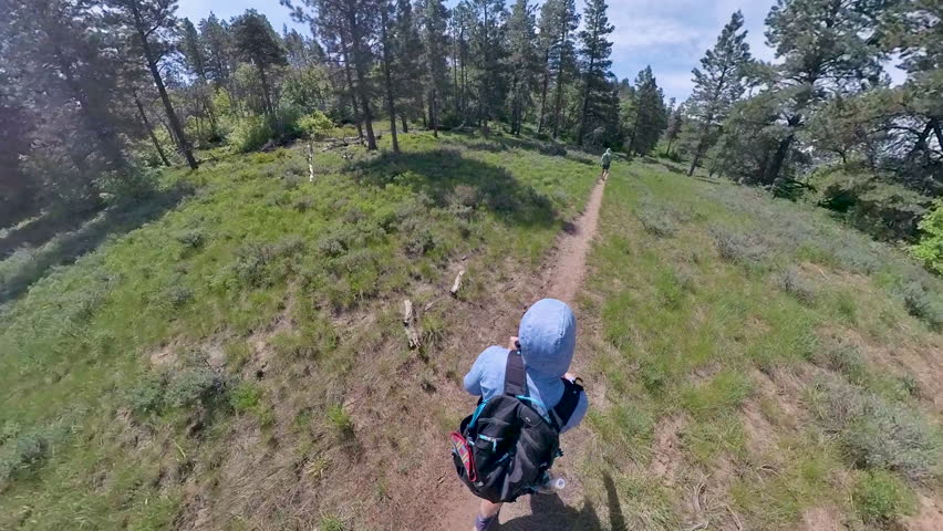 Overhead View on the Wildcat Connector Trail in Zion
