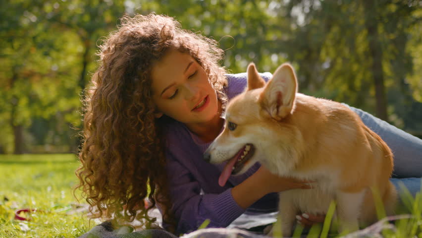 Happy woman playing kissing pedigree welsh corgi dog having fun together in park smiling joyful Caucasian girl owner play with cute puppy in summer city outdoors love animals friendship human and pet Royalty-Free Stock Footage #3409581625