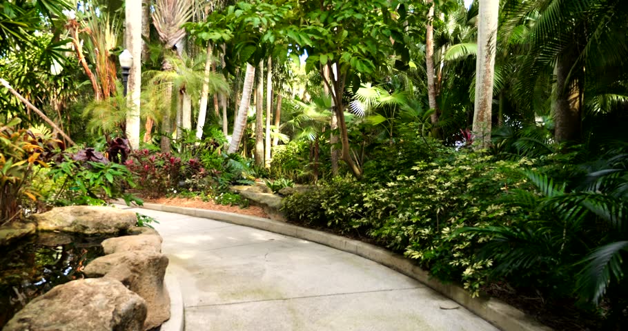 This stunning footage showcases a lush botanic garden oasis in full vibrant bloom. The sprawling grounds provide a peaceful escape from the outside world.  Royalty-Free Stock Footage #3409606673