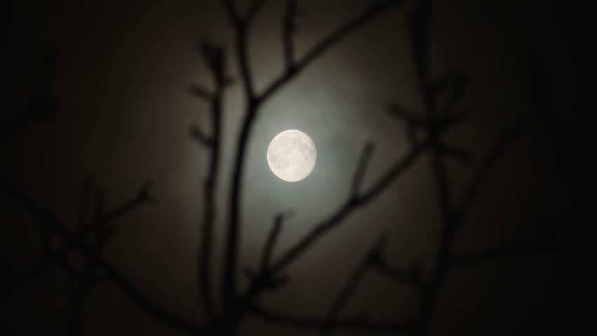 Full moon in the branches of a tree without leaves, a dark cloudy night has an spooky feeling like thriller and horror films. Real shooting through a telephoto lens. Soft selective focus