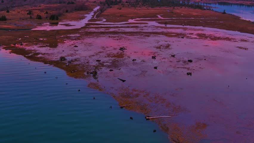 Wetlands and Vibrant Pink Sunset. Mountains, Trees in the Great Canadian Outdoors. Fall Season. Squamish, British Columbia Canada.