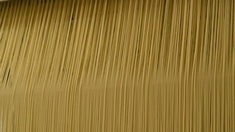 food production of pasta or noodle closeup