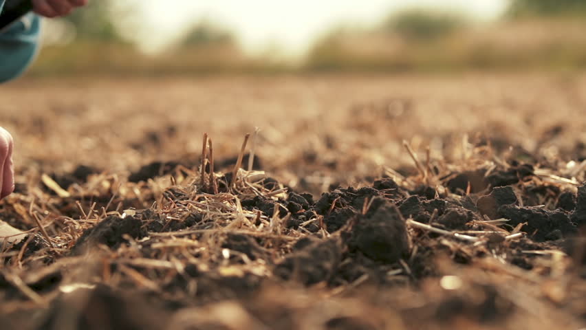 Side view: male hands touching soil on field. A close-up of a farmer holding the earth with his hands. The farmer checks the quality of the soil before planting. Royalty-Free Stock Footage #3409982381