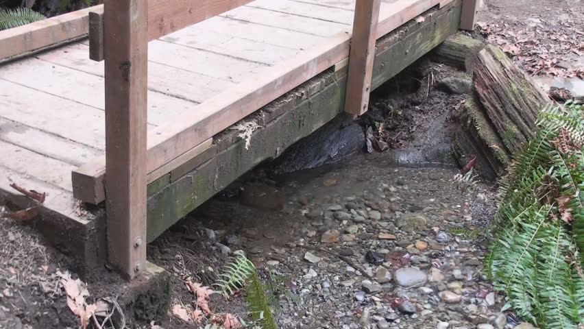 feet crossing the bridge over forest creek