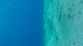 Vertical video, Sunlight illuminates a hilly sandy bottom on a blue water background. Natural underwater background with sandy hills on sea bottom and blue water on a bright sunny day, slow motion