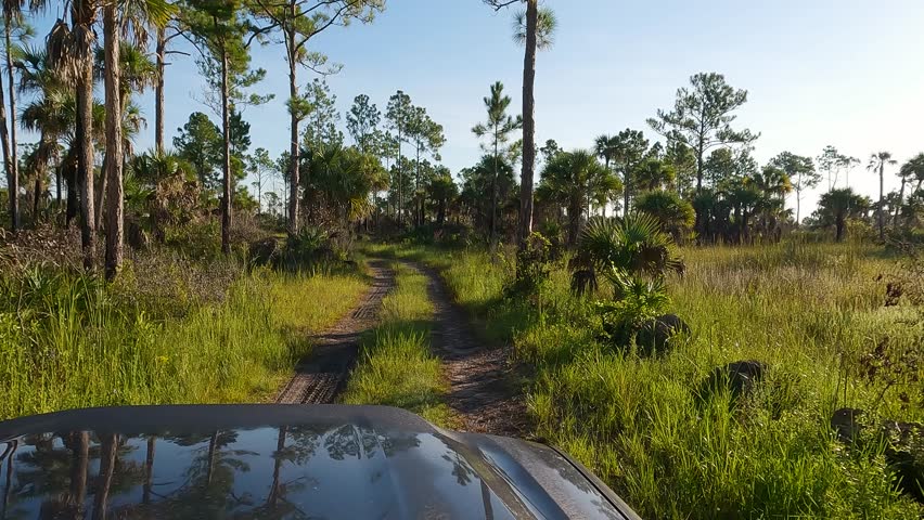 Off roading at Big Cypress National reserve, Florida 