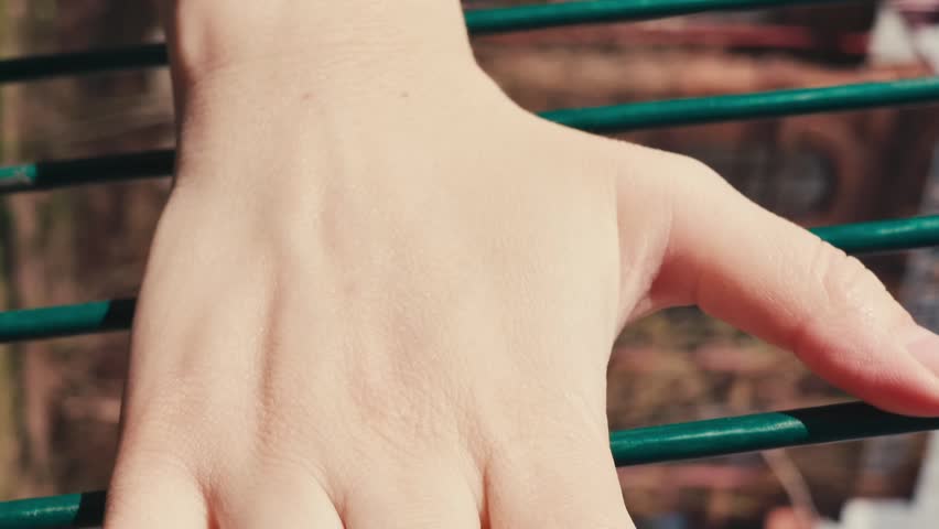 Close-up female fingers run along the green grid, women's hand touch on the metal fence,concept of closed borders and self-limitation, vertical shot. Royalty-Free Stock Footage #3410301129