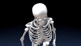 Skeletal System skeleton anatomy animated 3d video slow motion moving around on black background 