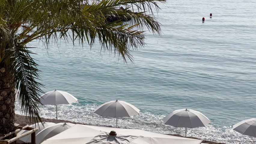 The famous beach Larvotto of principality of Monaco at sunny day, sun umbrellas, palm trees, azure water, nobody