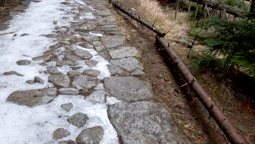 Tourist road in the forest. Wiring from bottom to top. Remains of snow lie on the path. Winter landscape