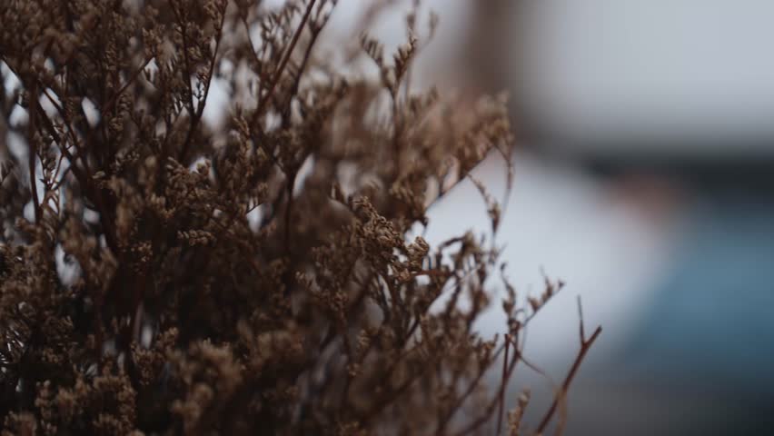 Young female patient lying on crouch release emotion from traumatic event, anxiety or mental illness to psychiatrist during mental treatment therapy in office. Psychological consultation session. Adit