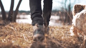 Travel and hiking concept.man walks through forest park in trackers at sunset with dog.human legs in hiking shoes.walking.legs of man in shoes walking through the park.man walks in trackers with a dog - Powered by Shutterstock - Get 15% off with code: PIKWIZARD15