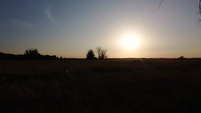 flying over a field with lonely trees at sunset