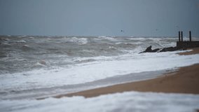Choppy sea waves crash on sandy shore with birds flying over stormy water, desolate beach scene under overcast sky, coastal weather conditions, natural disaster footage. - Powered by Shutterstock - Get 15% off with code: PIKWIZARD15