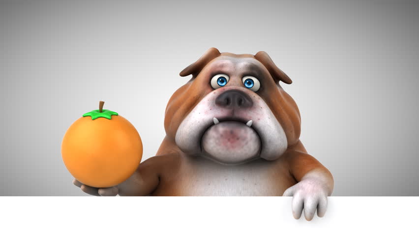 Fun bulldog - 3D Animation