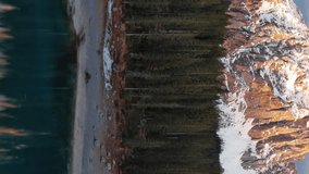 Flying up over lake, mountain and forest, Lago di Carezza, Dolomites, Italy. Vertical video - Powered by Shutterstock - Get 15% off with code: PIKWIZARD15