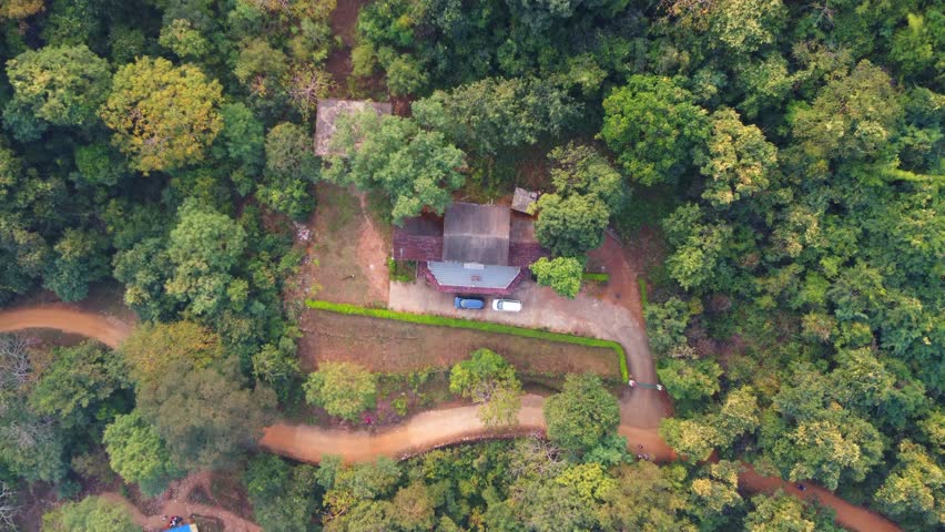 Aerial drone shot of flying over thick dense forest and houses cottages in between the trees HD