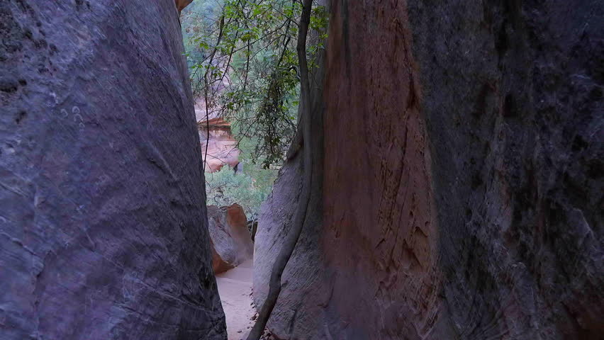 Establishing shot of mountains with red rocks in Emerald Pools Trail, Zion National Park, Utah, North America. Day time. ProRes 422 HQ.