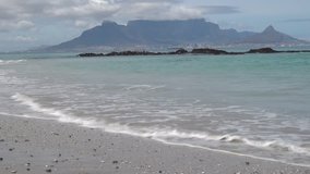 HD high quality video view of Western Cape's coast, Bloubergstrand sandy beach, black rocks, sea birds and view of Table Mountain in the background in Cape Town, South Africa on sunny summer morning