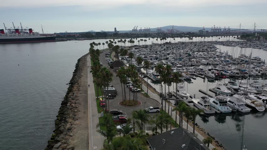 Palm tree lined road in Long Beach CA