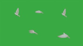 flying white doves on a green screen - Powered by Shutterstock - Get 15% off with code: PIKWIZARD15