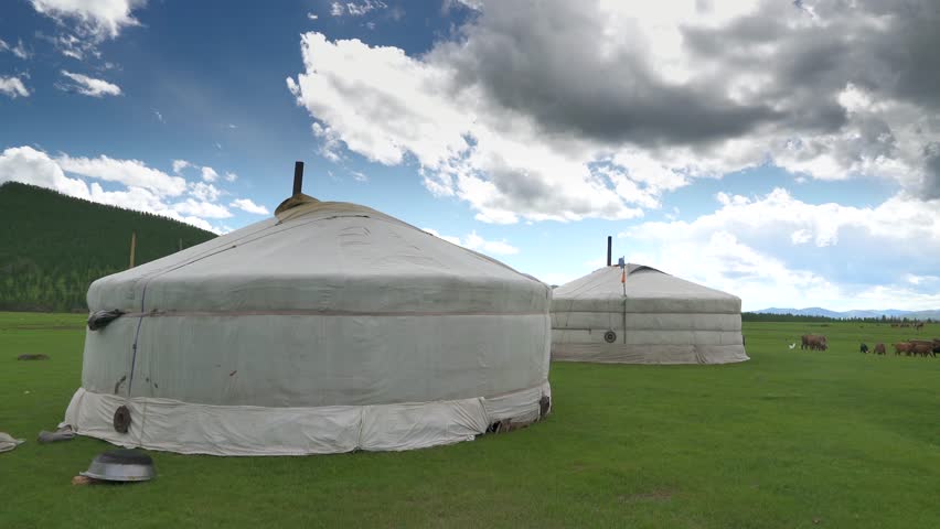 Two white Mongolian ger tents stand on the edge of the animals in the Mongol meadows. Royalty-Free Stock Footage #3412032721