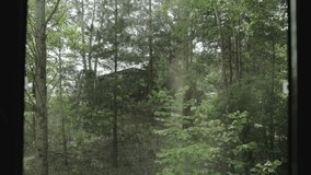 Window view from cabin wooden house, green forest outdoor, sunlight come trough the window, forest backgrounds. Closed window overlooking green forest, slow motion. - Powered by Shutterstock - Get 15% off with code: PIKWIZARD15