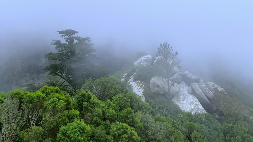 Mountains and trees in thick fog