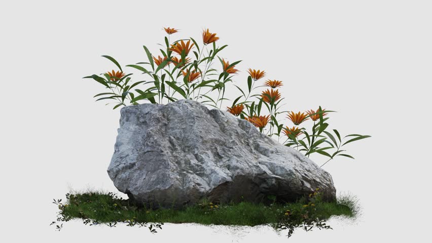 rock stone with yellow flower footage on white backgropund, 3d illustration rendering