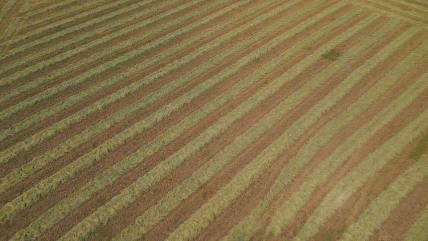 Shooting from a drone field of mines in strips for