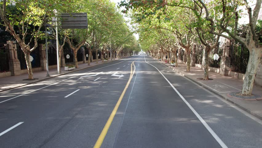 Drone aerial footage of residential house in the Lujiazui community of Pudong, Shanghai, China. Green trees and villas, the most valuable houses in Shanghai city, 4k real time footage high angle view.