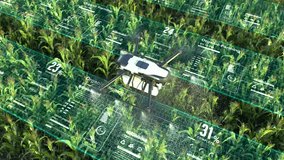 Drone spraying fertilizer on vegetable green plants, Agriculture technology, Farm automation. - Powered by Shutterstock - Get 15% off with code: PIKWIZARD15