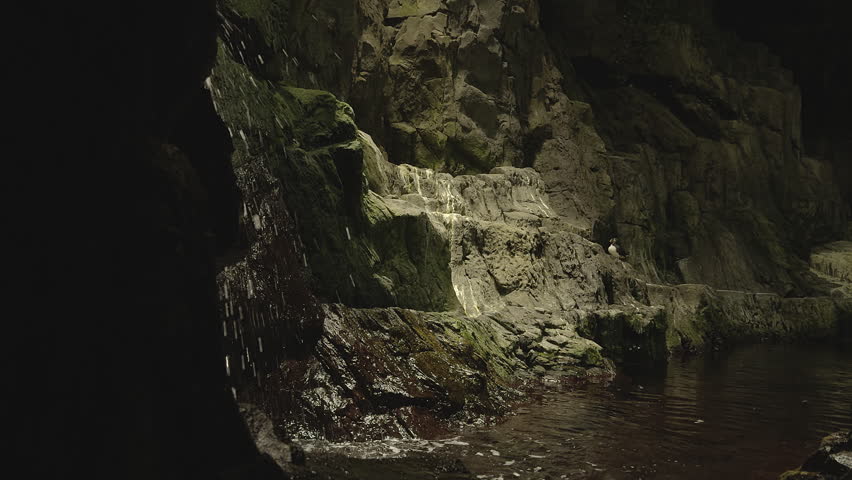 Waterfalls with exotic birds. and water.