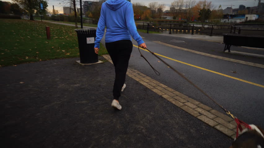 Woman Walking Her Cute Beagle by The Lachine Canal in Montreal, Canada
