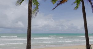 Sea nature video cinematic scene of tropical beach coconut tree at beach ProRes422