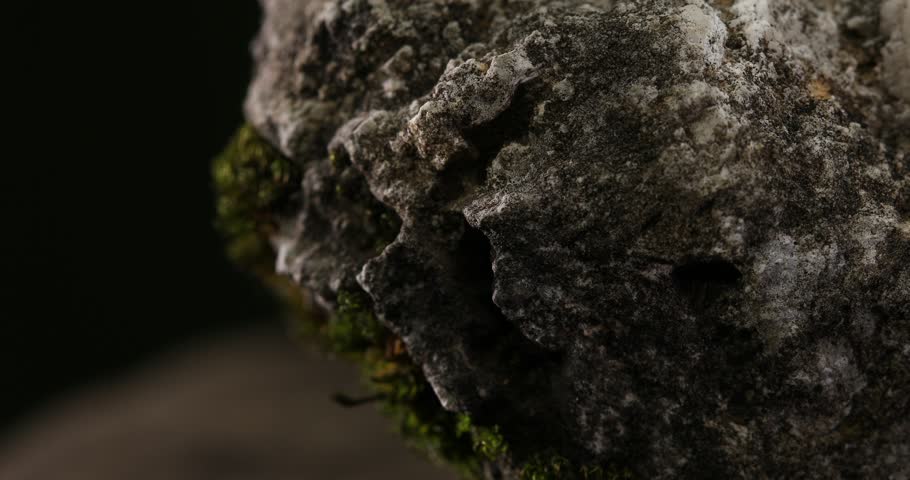 Stone texture close-up. Macro shot of a rock with green moss. Dark cracked mineral. High quality 4k footage