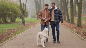Footage of hugging gay male couple walking in autumn park with dog and talking - Powered by Shutterstock - Get 15% off with code: PIKWIZARD15