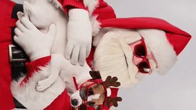 Santa Claus holds a Jack Russell Terrier dog with deer antlers. Vertical video. 