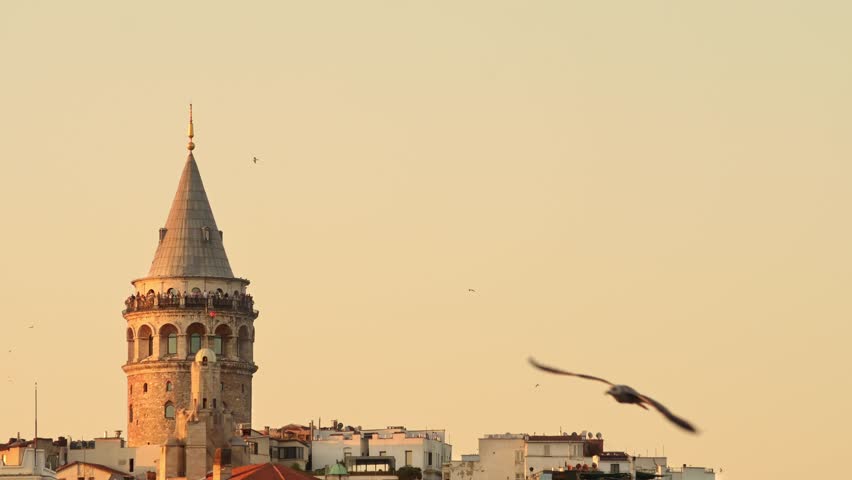 Scenic view of the Galata Tower and the rooftops of Istanbul from the Bosphorus at sunset. Picturesque cityscape with seagulls during golden hour. Sightseeing - Istanbul, Turkey
