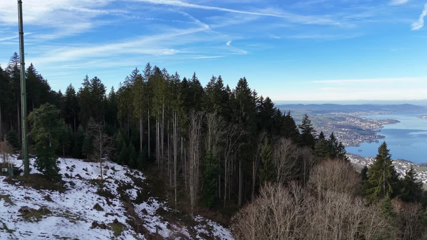 Mountain nature panoramic landscape Lake Zurich Switzerland aerial view