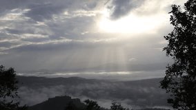 A high angle video background from a mountain where mist covers various large trees in the morning, wind blows, and rain falls. The sun shines on a beautiful golden color.