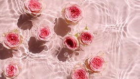 Slow motion of falling roses on water surface and diverging circles of water on pink background. Water splash pink colored. Pure water with reflections sunlight and shadows. Valentines day. - Powered by Shutterstock - Get 15% off with code: PIKWIZARD15